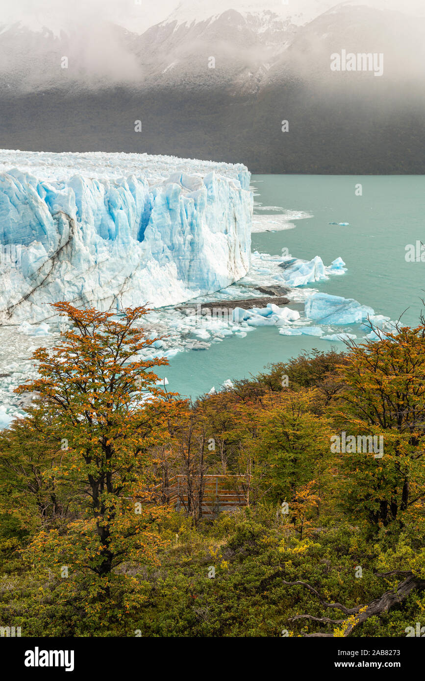 Perito Moreno with trees, Lago Argentino and mountains in autumn, Los Glaciares National Park, UNESCO, Santa Cruz, Argentina, South America Stock Photo