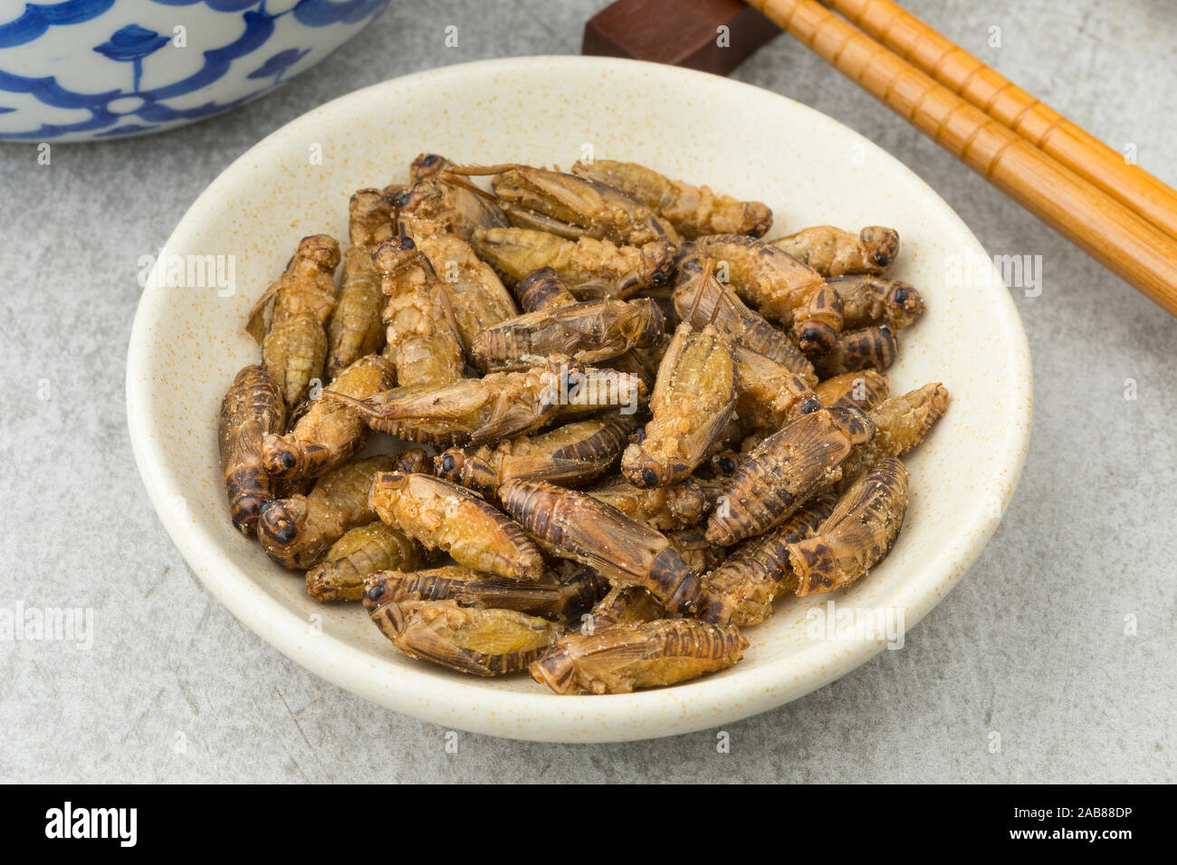 Dish with crispy small crickets for a snack Stock Photo