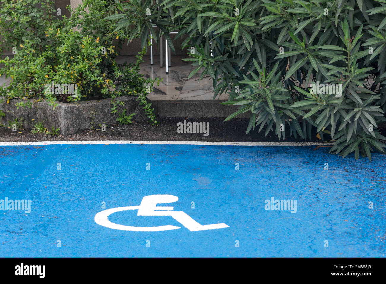 Disabled parking spaces. Parking lot with painted white sign of wheelchair on asphalt, parking spaces for disabled visitors. Stock Photo