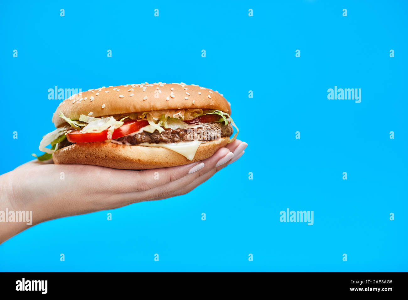 Woman Hands holding a hamburger on a blue background Stock Photo