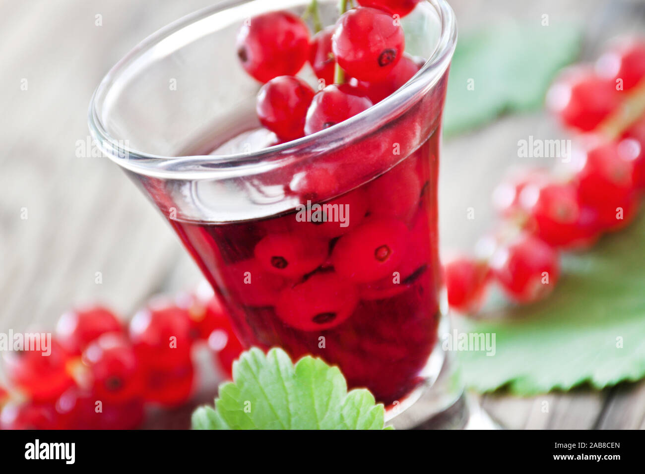 Red currant liqueur and fruits Stock Photo Alamy