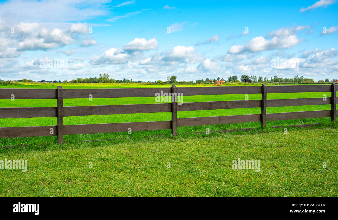 A green fence field and a blue sky. Pastures out of town. Stock Photo