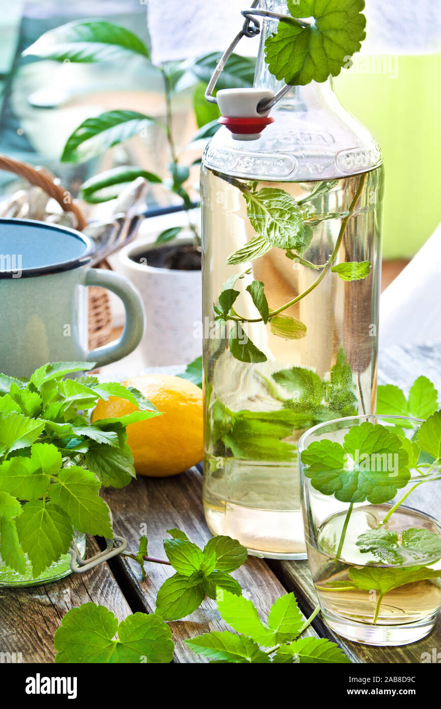 Herbal lemonade with fresh weeds and herbs Stock Photo