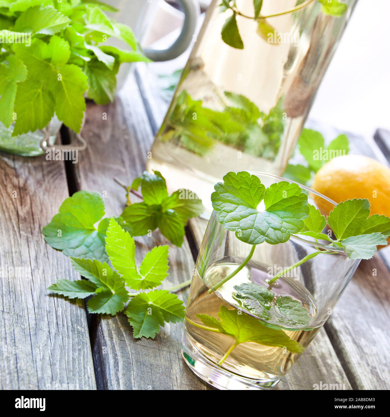 Herbal lemonade with fresh weeds and herbs Stock Photo