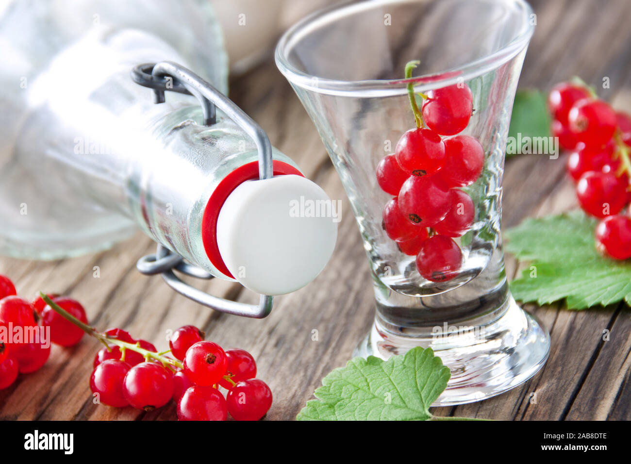Red currant liqueur and fruits Stock Photo Alamy