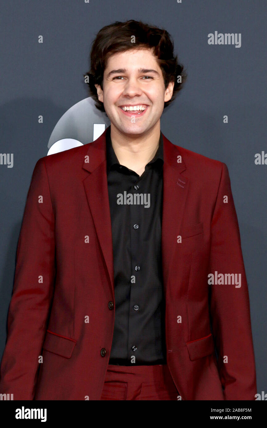 November 24, 2019, Los Angeles, CA, USA: LOS ANGELES - NOV 24:  David Dobrik at the 47th American Music Awards - Arrivals at Microsoft Theater on November 24, 2019 in Los Angeles, CA (Credit Image: © Kay Blake/ZUMA Wire) Stock Photo