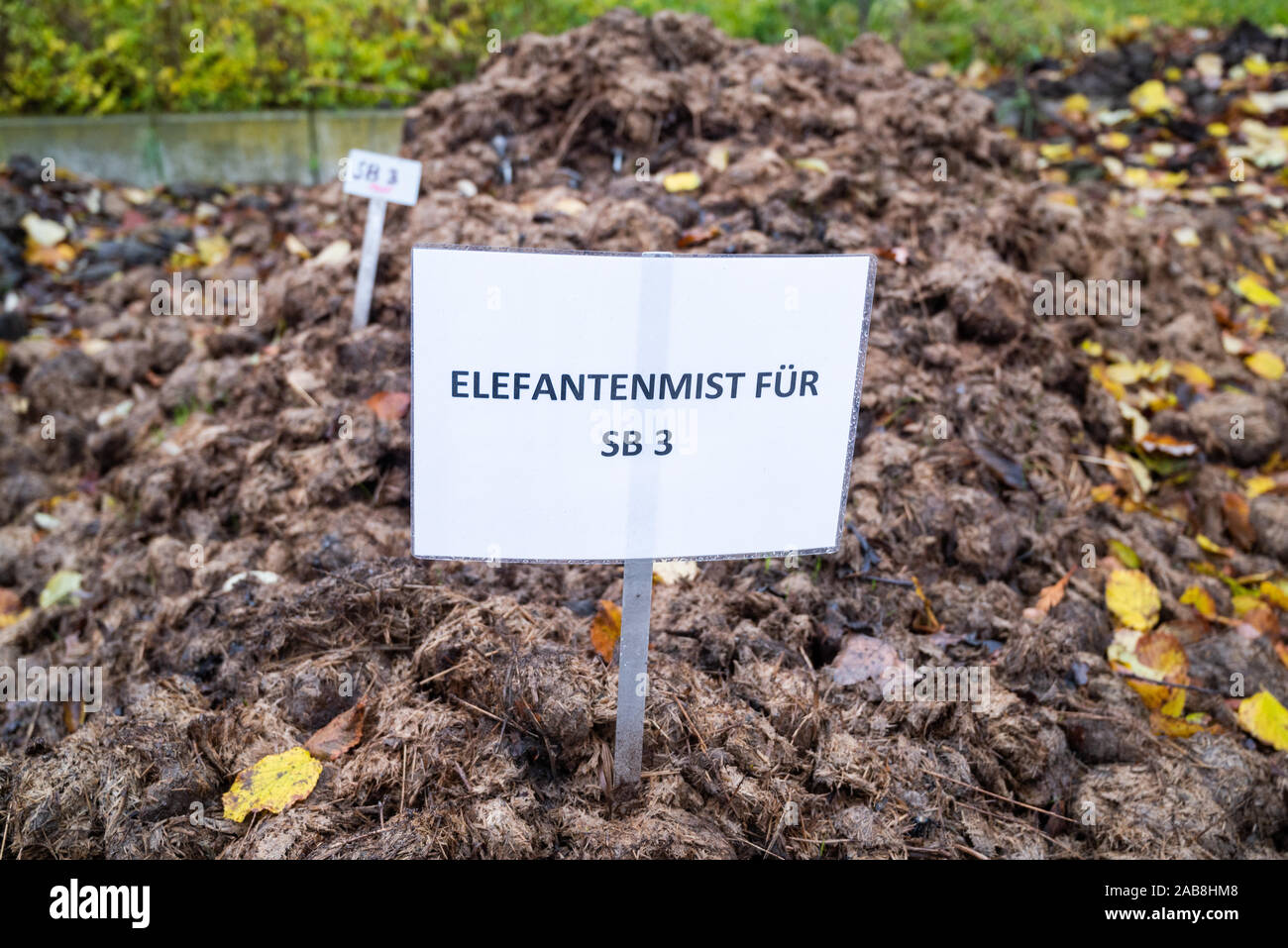 18 November 2019 Berlin In The Botanical Garden There Is A Heap