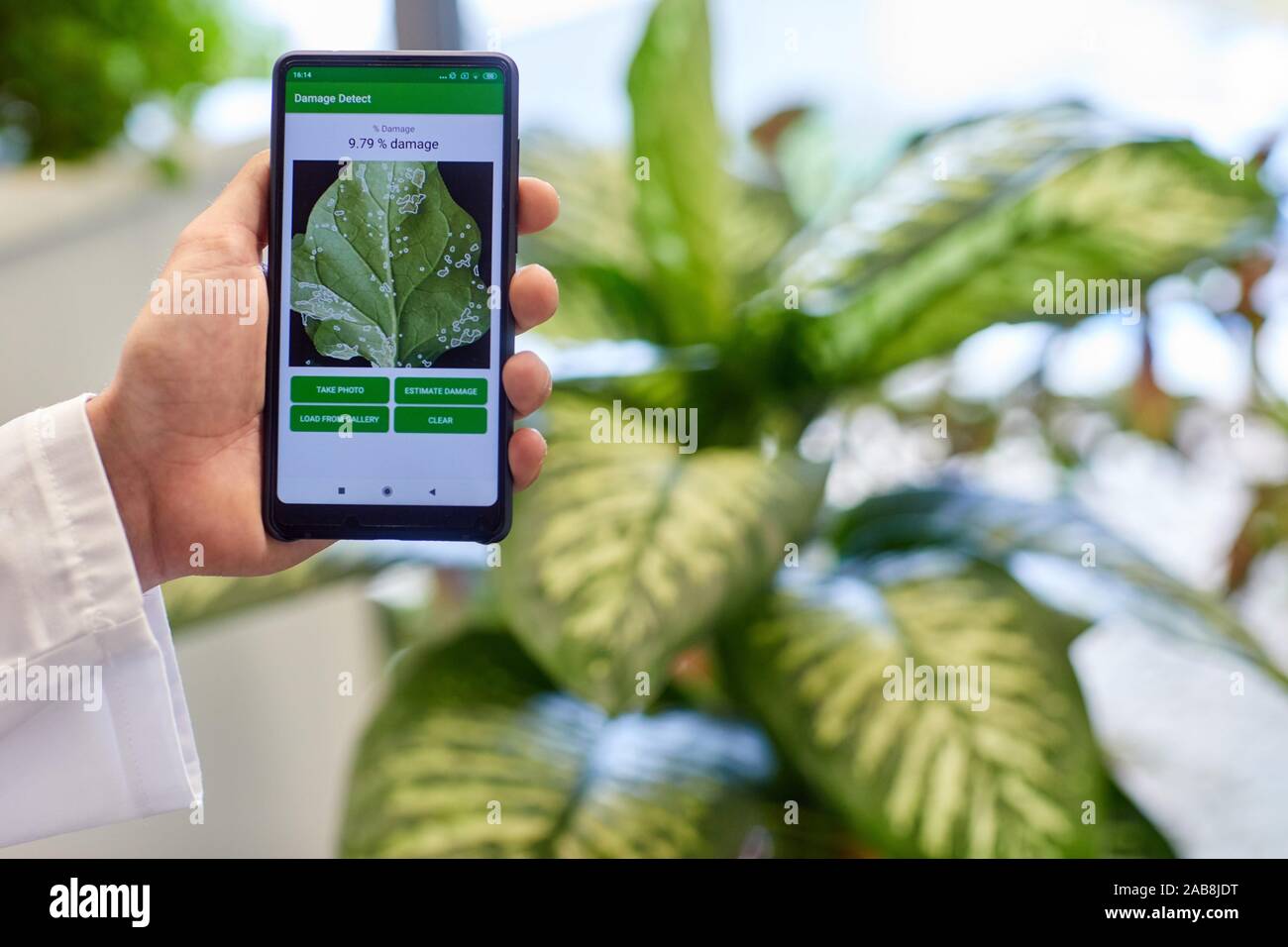 App development to detect and quantify plant damage, Agricultural industry, Technology Centre, Tecnalia Research & Innovation, Derio, Bizkaia, Basque Stock Photo