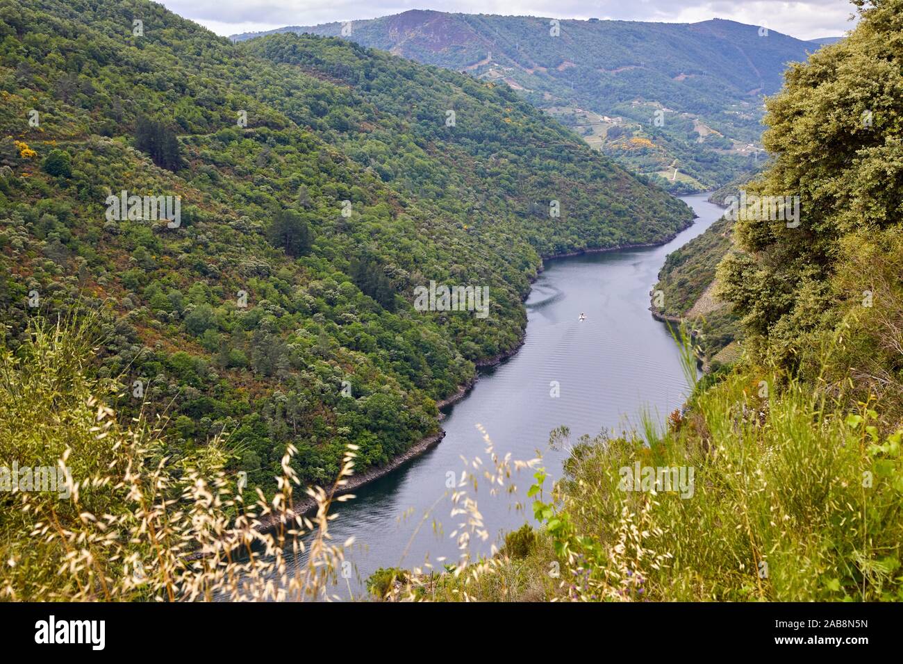 Ribeira Sacra, Heroic Viticulture, Sil river canyon, Doade, Sober, Lugo, Galicia, Spain Stock Photo