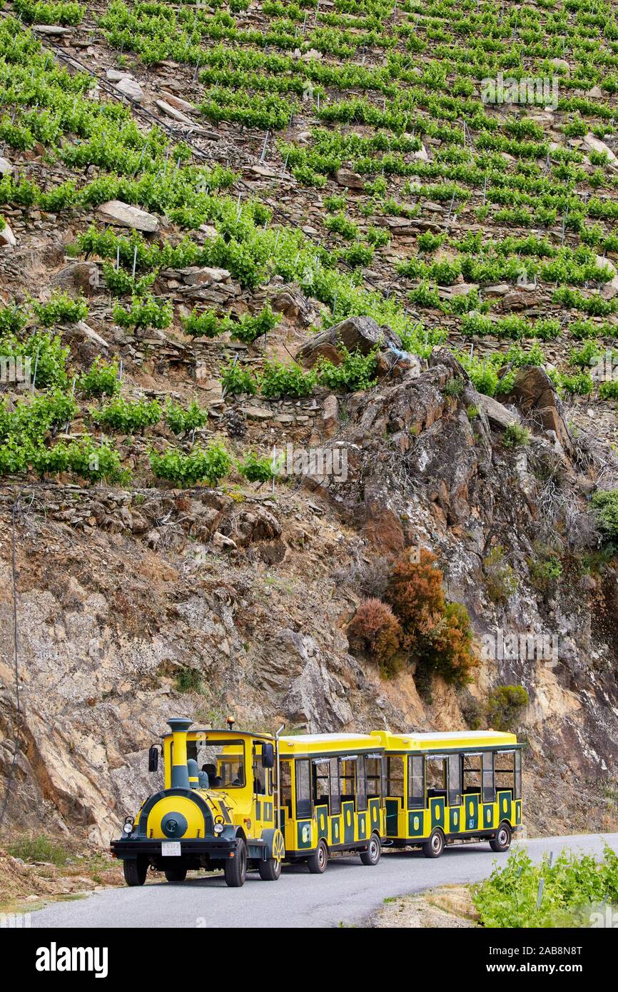 Aba Sacra Tourist Train, Ribeira Sacra, Heroic Viticulture, Sil river canyon, Doade, Sober, Lugo, Galicia, Spain Stock Photo