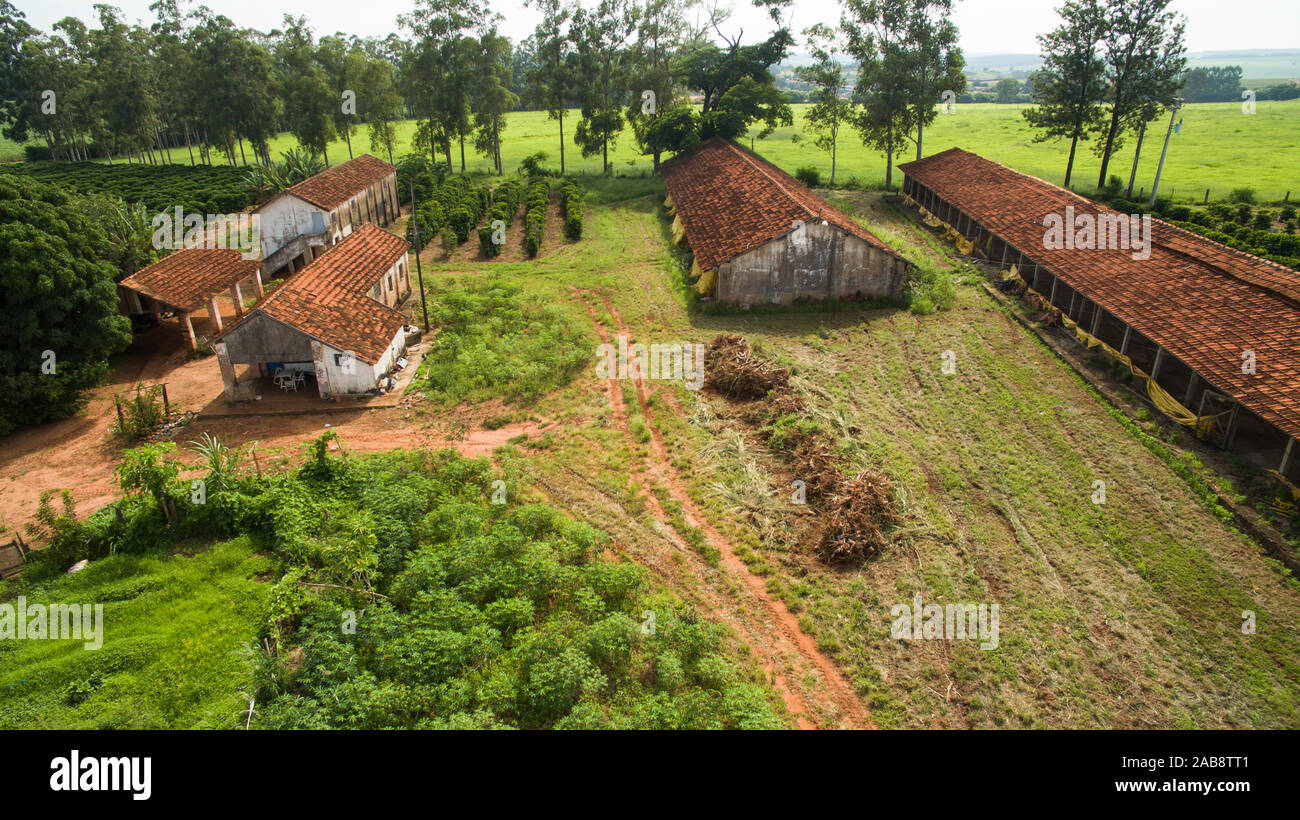 Coffee and chicken farm. Small Coffee Farm in Victorian City, Sao Paulo