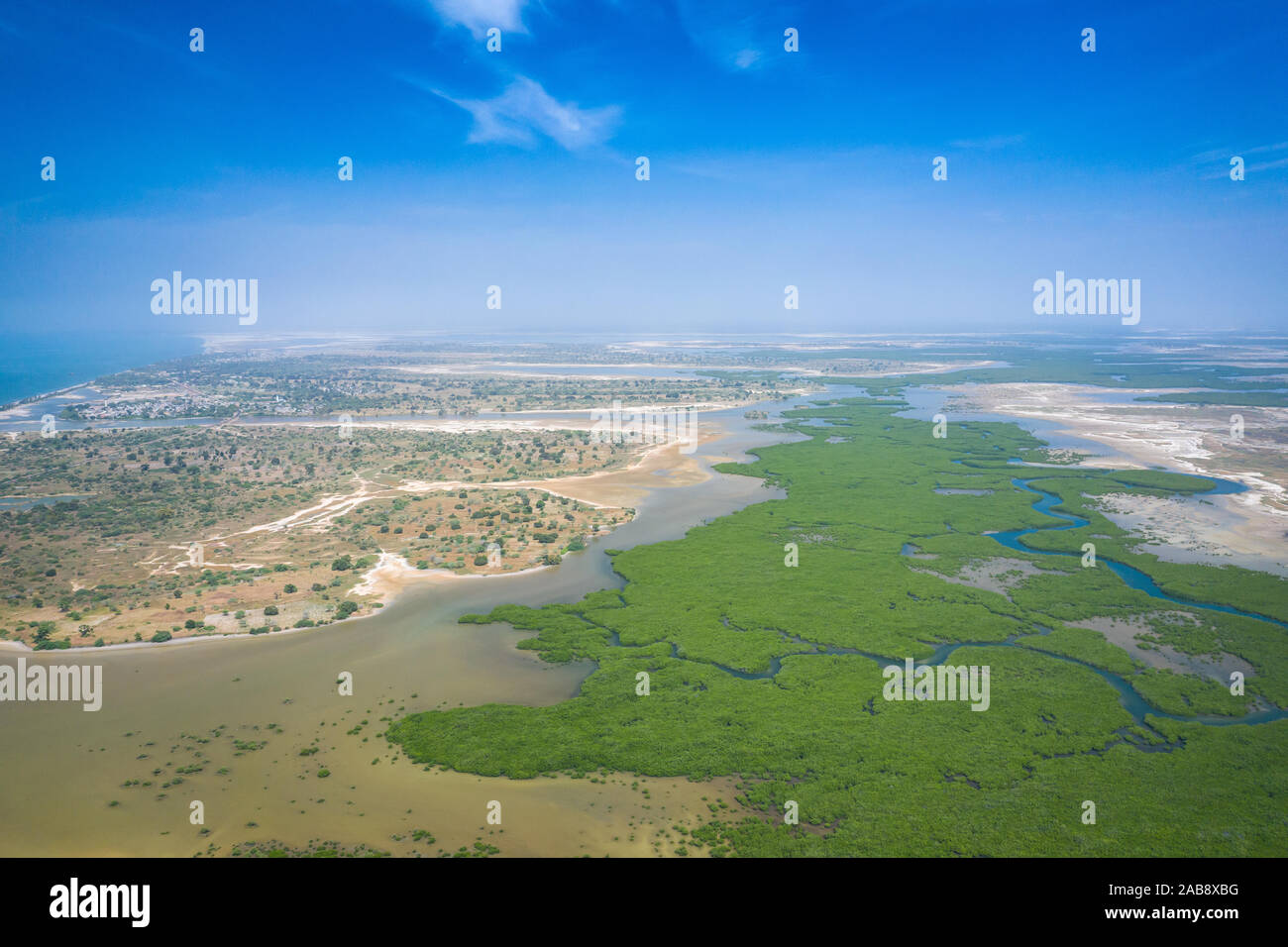 Senegal Mangroves. Aerial view of mangrove forest in the Saloum Delta ...