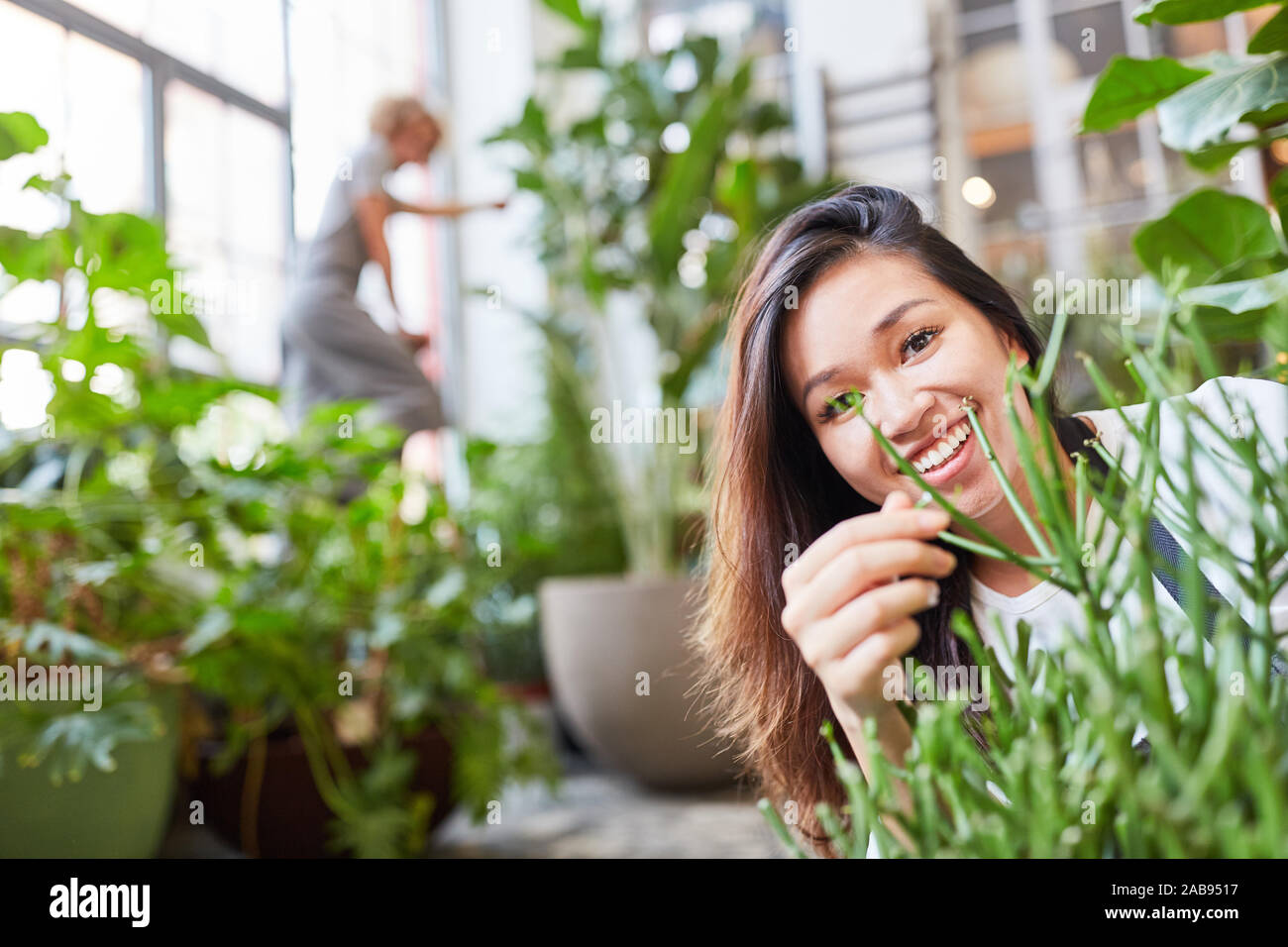 Smiling young florist doing the plant care in the garden center Stock Photo