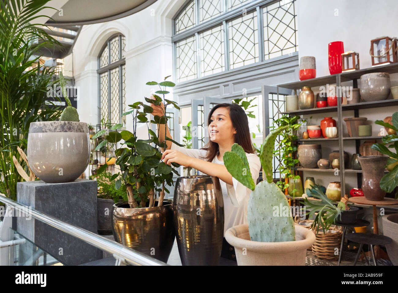 Decorating with succulents hires stock photography and images Alamy