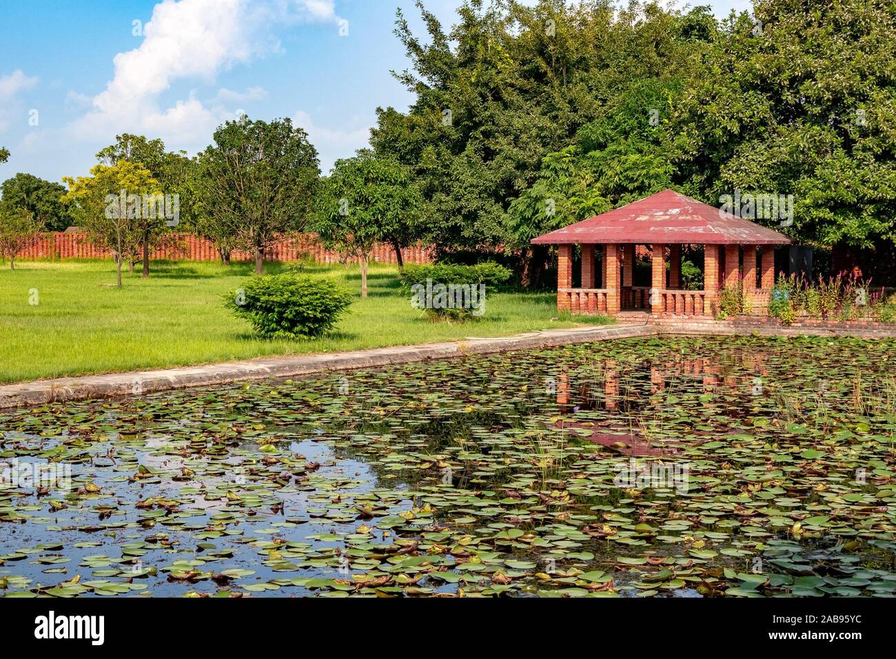 garden with pond and shade Stock Photo Alamy