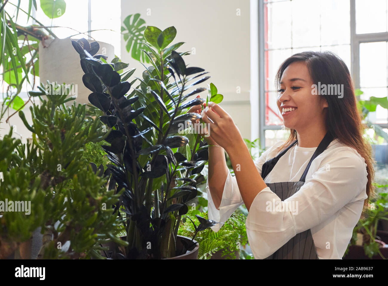 Young florist inspects quality and growth of green plant Stock Photo