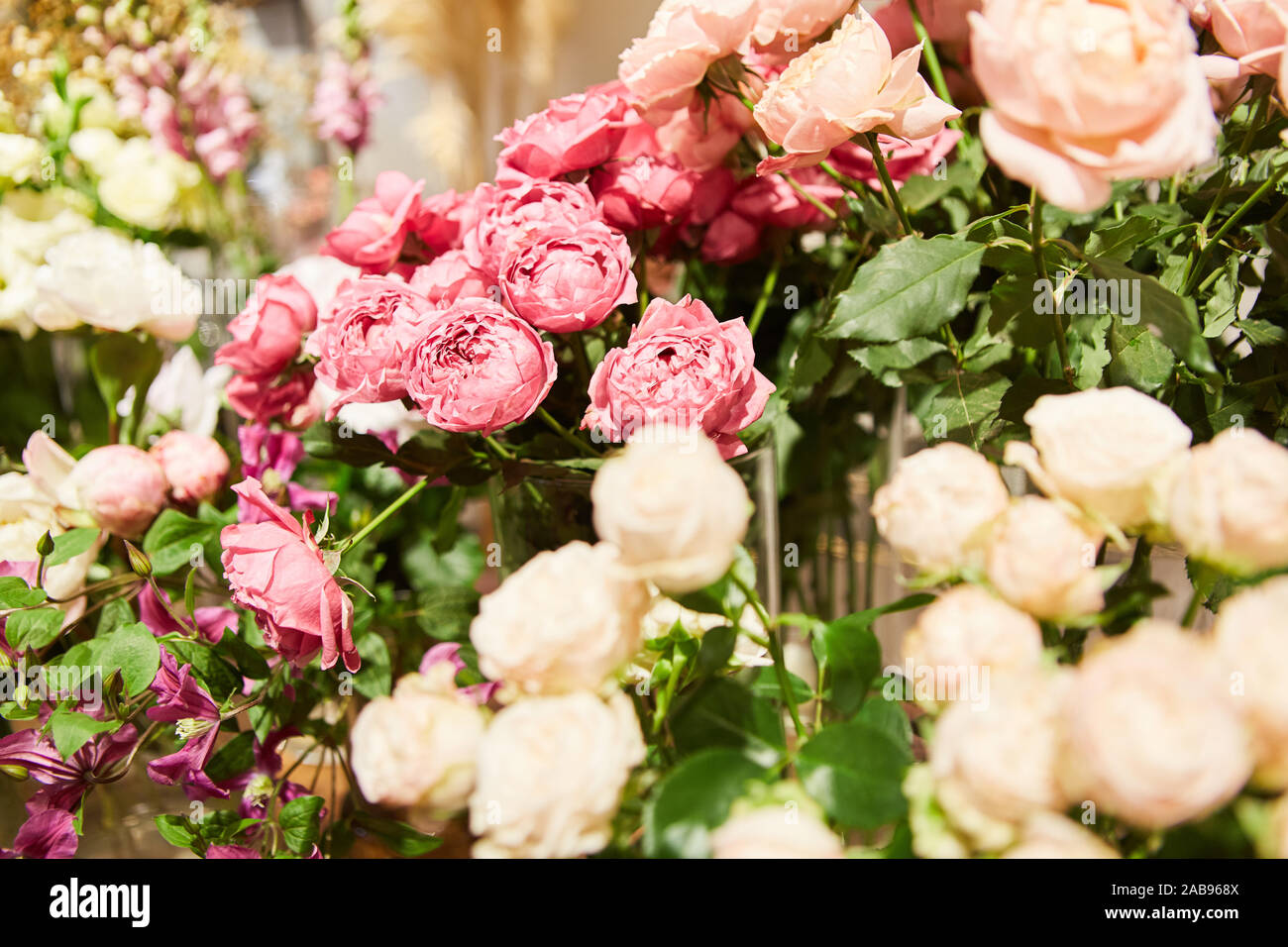 Selection of different varieties of roses in the flower shop Stock ...