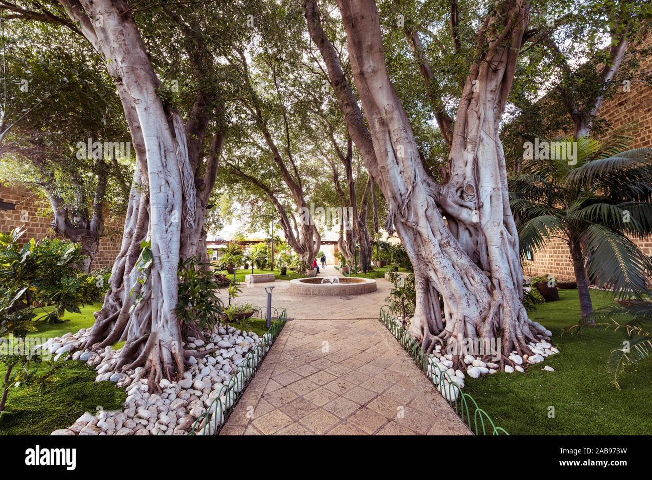 Enchanted Garden Stock Photos Enchanted Garden Stock Images Alamy