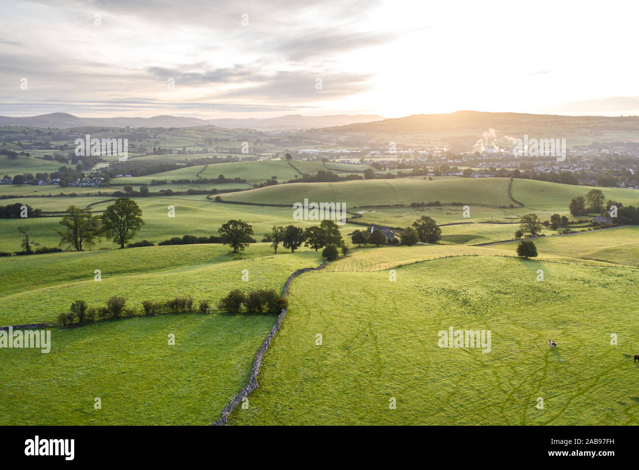 Rolling countryside hills at hazy sunrise near Kendal in Lake District National Park, United Kingdom Stock Photo