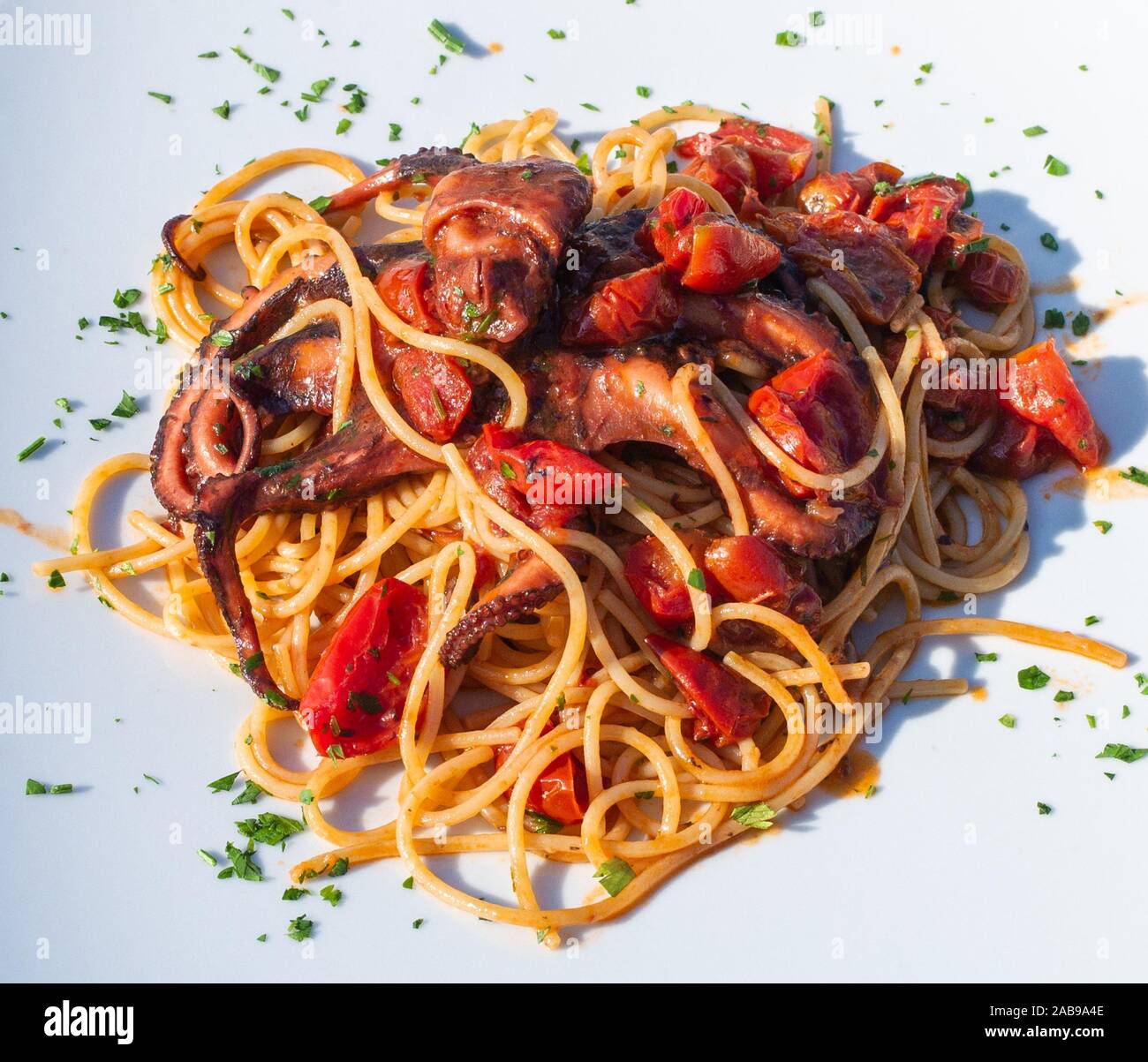 Spaghetti alla Luciana,traditional dish with octiopus and tomato sauce. Stock Photo