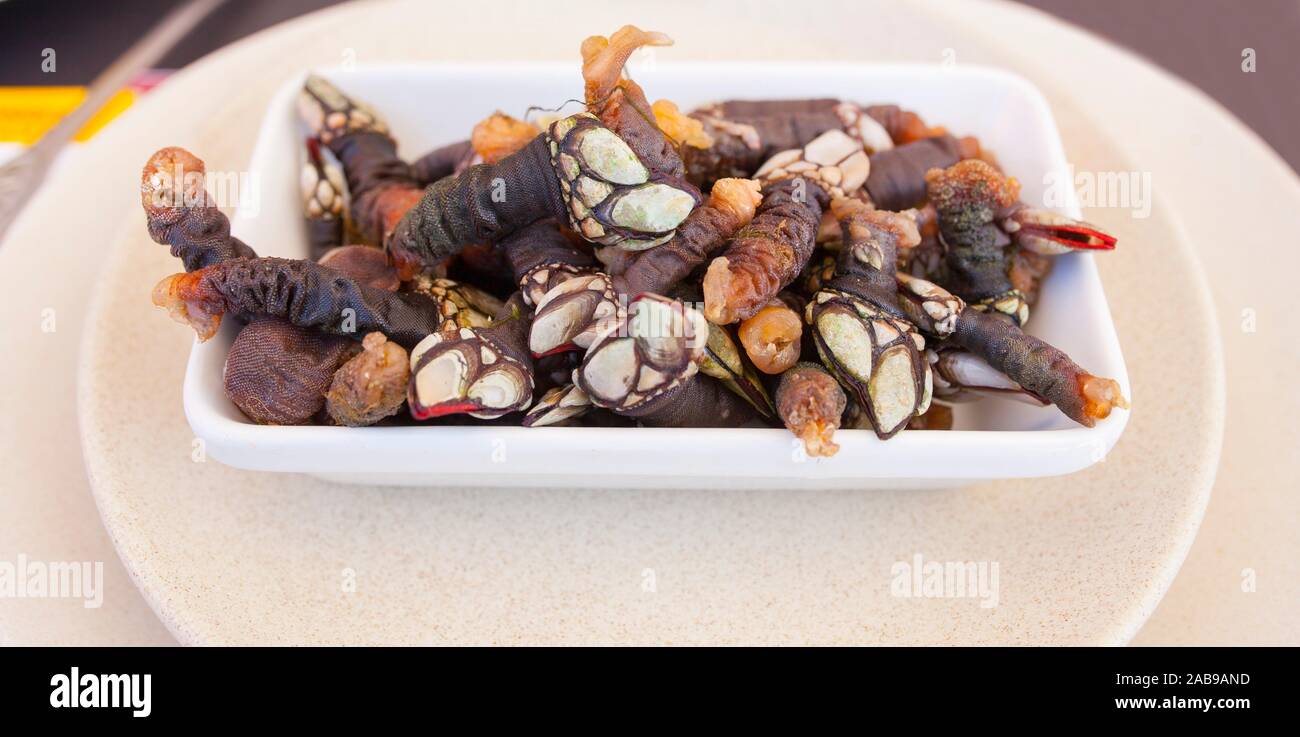 Goose neck barnacles platter at portuguese seafood meal or marisqueira. Overhead shot. Stock Photo