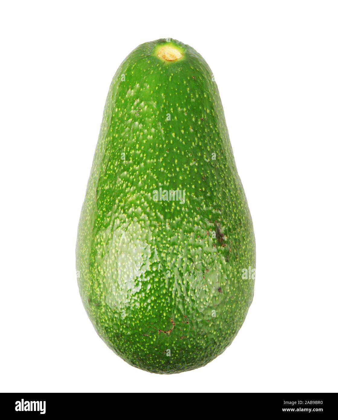 Whole avocado isolated on white background. The avocado or Persea