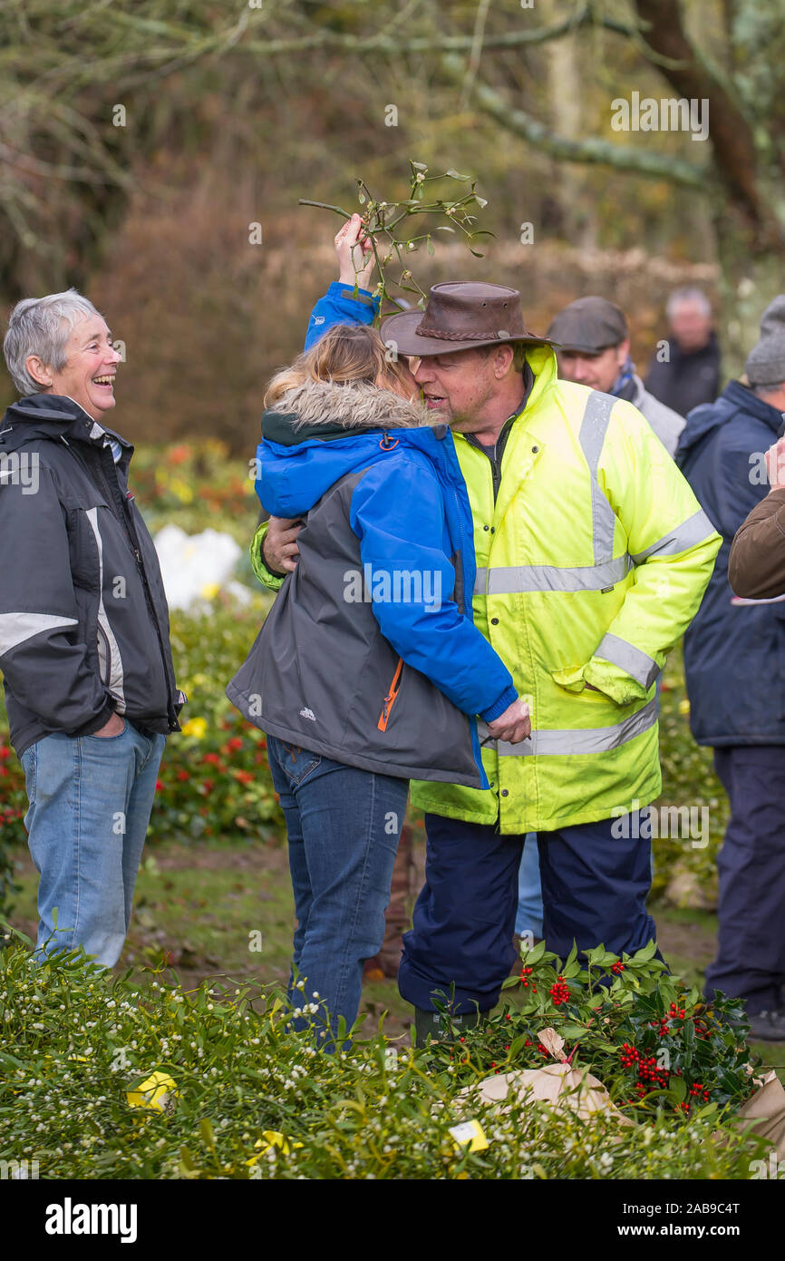 Tenbury Wells, UK. 26th Nov, 2019. In spite of wet and dreary weather, nothing dampens the spirit of UK buyers as they flock to the Worcestershire town of Tenbury Wells for the annual Mistletoe and Holly Auction. With UK farmers and growers offering such a staggering selection of freshly-cut, berry-laden lots for this event, buyers flock from far and wide to secure the finest festive foliage for their business' countdown to Christmas. Credit: Lee Hudson/Alamy Live News Stock Photo