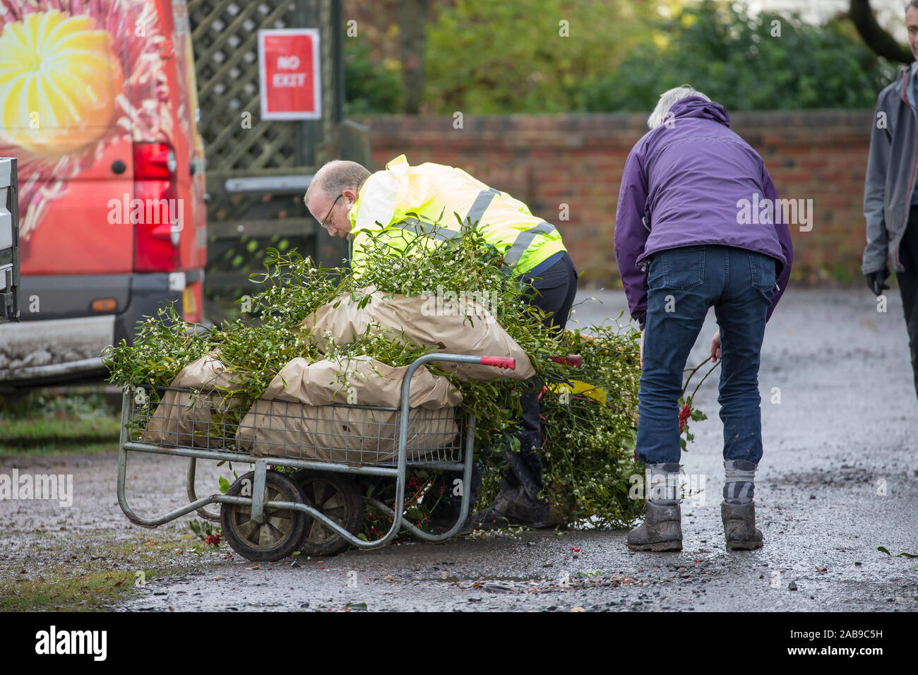 Tenbury Wells, UK. 26th Nov, 2019. In spite of continual wet and dreary weather, nothing dampens the spirit of these UK buyers as they flock to the Worcestershire town of Tenbury Wells for the annual Mistletoe and Holly Auction. With UK growers offering a staggering selection of freshly-cut, berry-laden lots at this special event, retailers travel from far and wide to secure the finest festive foliage for their business' countdown to Christmas. Buyers return to their vehicles, trollies overflowing with successful purchases of premium evergreens! Credit: Lee Hudson/Alamy Live News Stock Photo