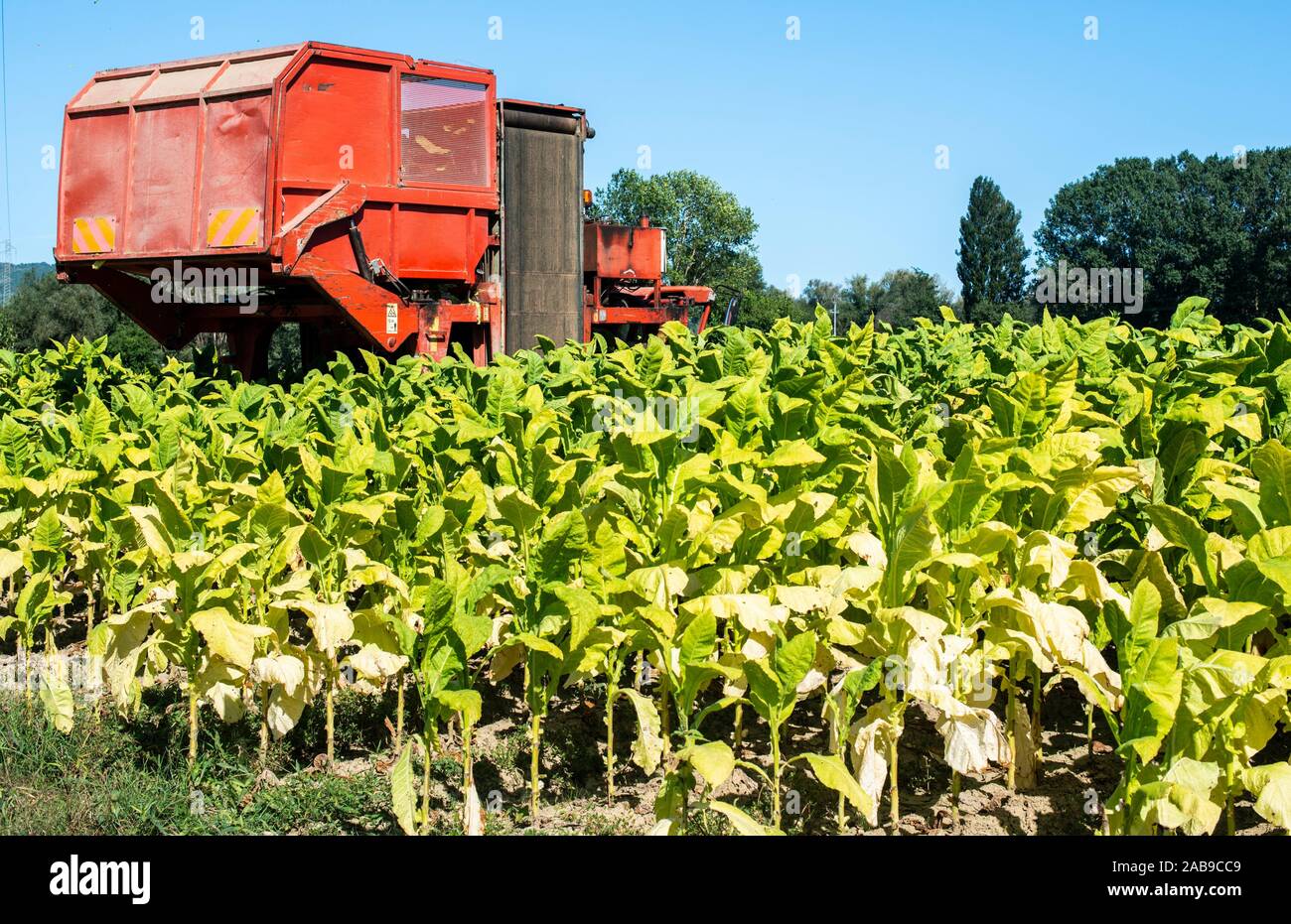 Tobacco harvesting machine hires stock photography and images Alamy