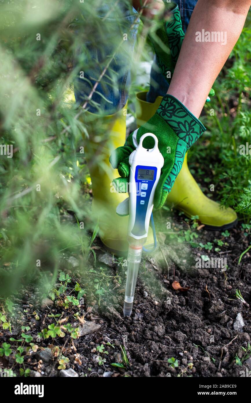 PH meter tester in soil. Measure soil with digital device. Woman farmer