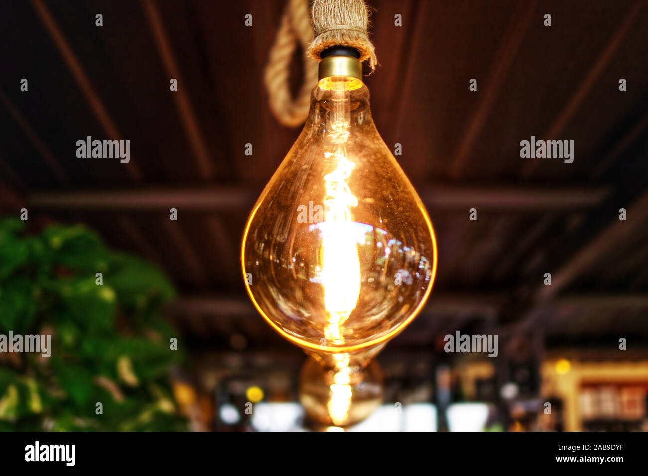 Decorative antique light bulbs hanging from the ceiling Stock Photo - Alamy