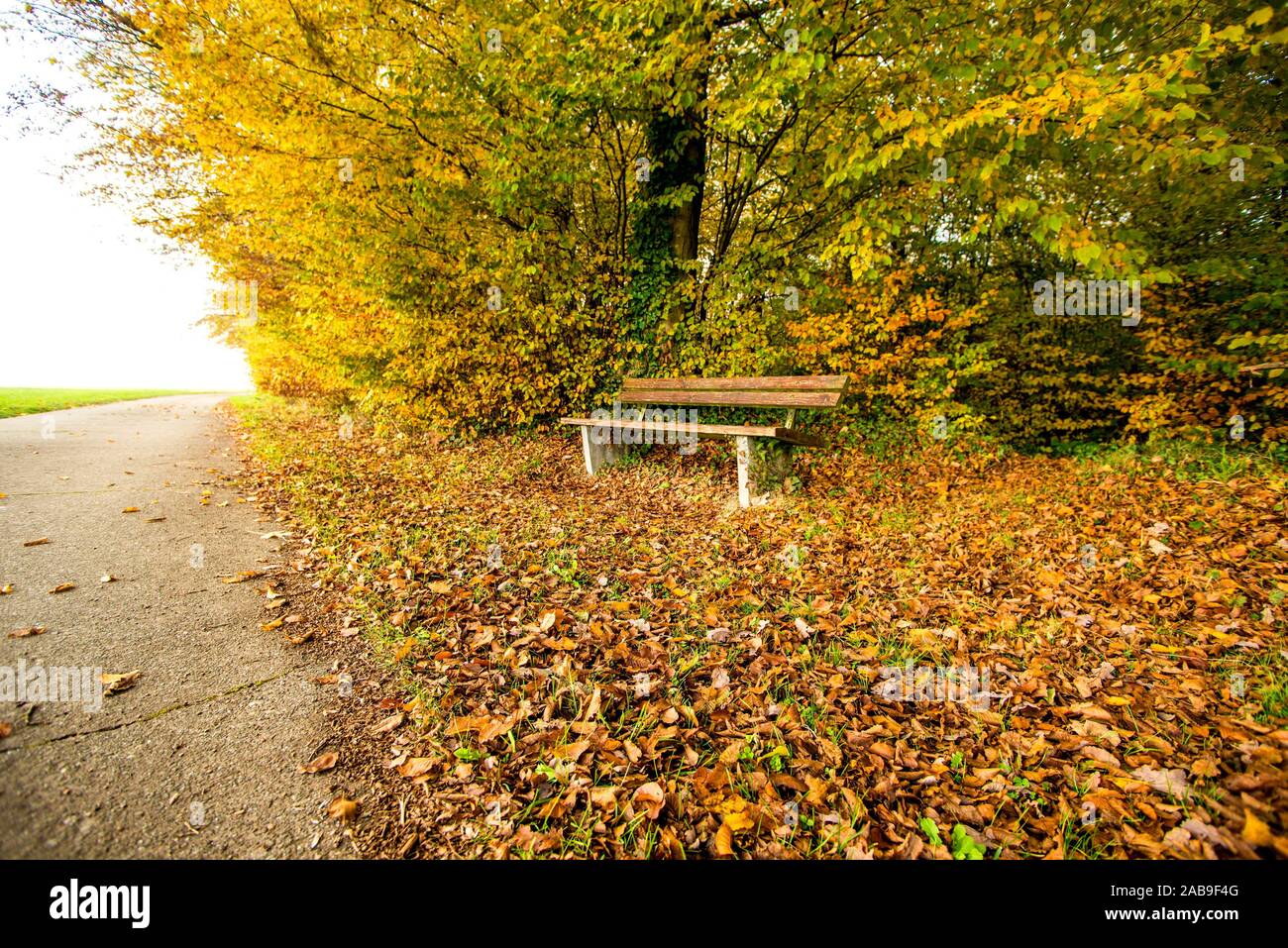 Lonesome park bench hi-res stock photography and images - Alamy