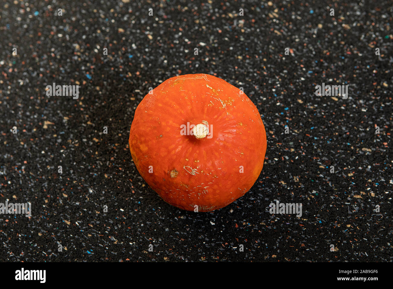 Orange round cucurbit on dark speckled background. Pumpkin oval shape and textured surface still life. Simple abstract composition. Food art concept, Stock Photo
