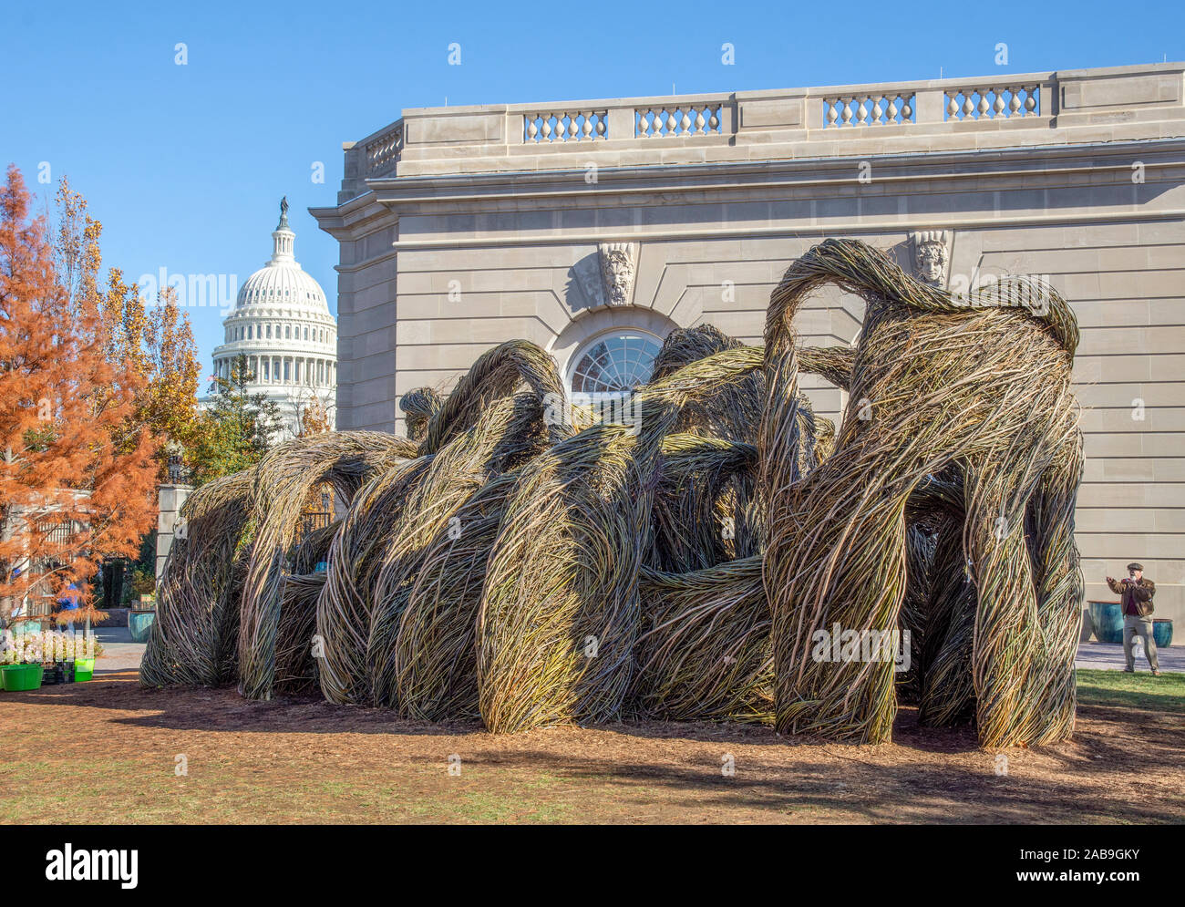 'Oh Say Can You See' stickwork installation by Patrick Dougherty at the U.S. Botanic Garden on the National Mall in Washington, DC. Learn more here ; Stock Photo