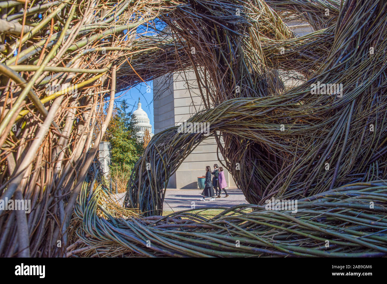 'Oh Say Can You See' stickwork installation by Patrick Dougherty at the U.S. Botanic Garden on the National Mall in Washington, DC. Learn more here ; Stock Photo