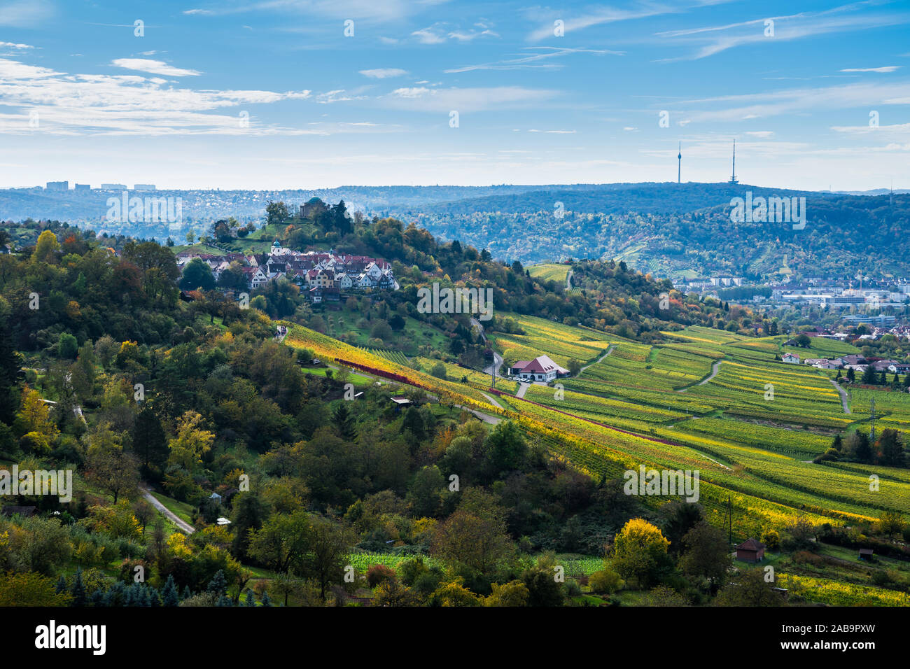 Stuttgart City Forest In Autumn High Resolution Stock Photography and ...