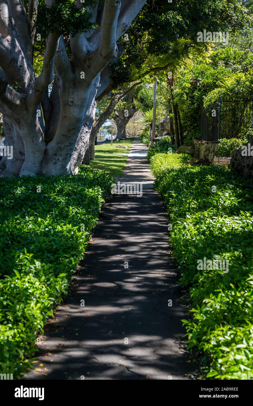 Alexandra Street in Hunters Hill, a suburb on the Lower North Shore