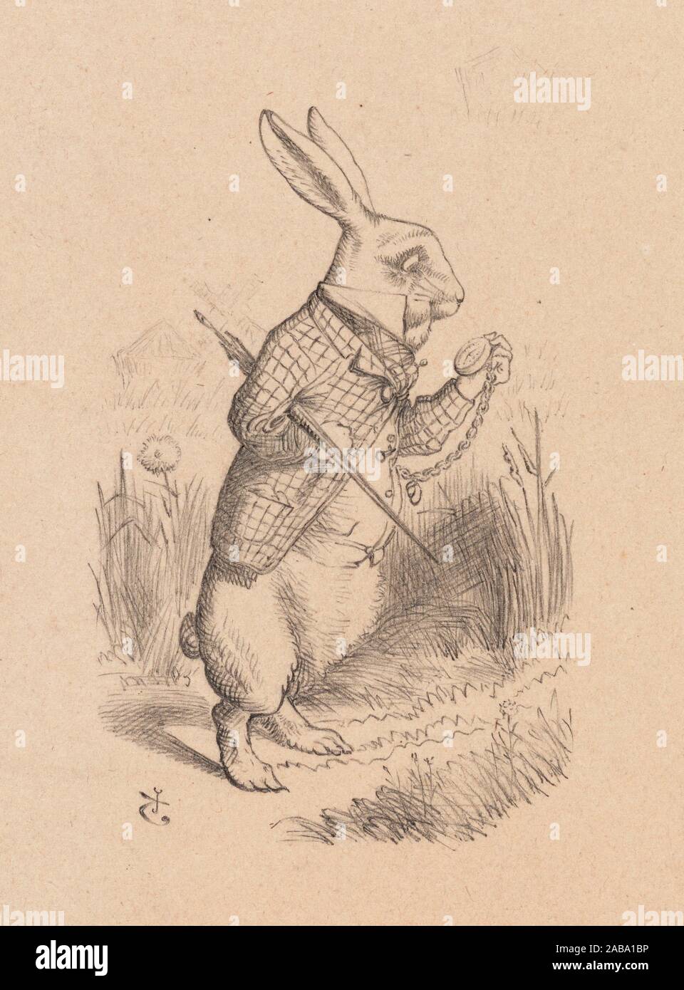 Drawing of the White Rabbit holding his watch Additional title: Illustration for page 1 of Alice's adventures in wonderland. Tenniel, John, Sir, Stock Photo