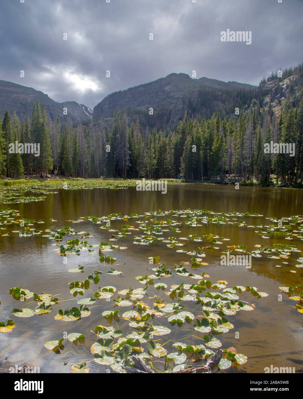 Mountains,lakes and forests are predominant features of Rocky Mountain