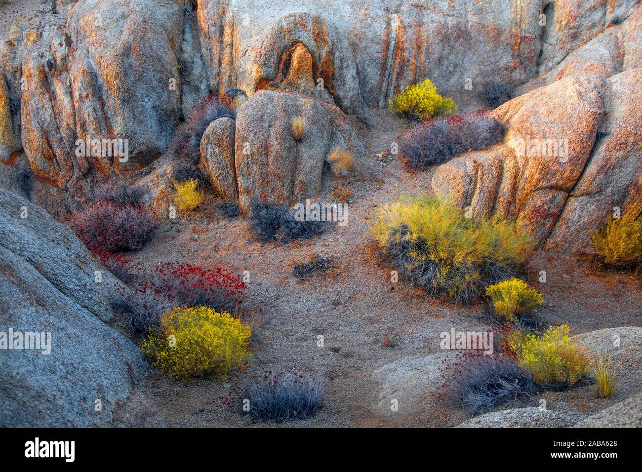 The Alabama Hills are situated at the base of the Sierra Nevada Mountains near Lone Pine, California. Stock Photo