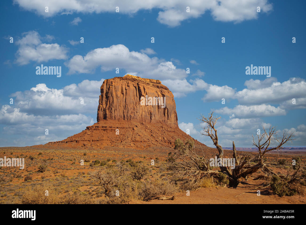 Monument valley elephant butte in hires stock photography and images