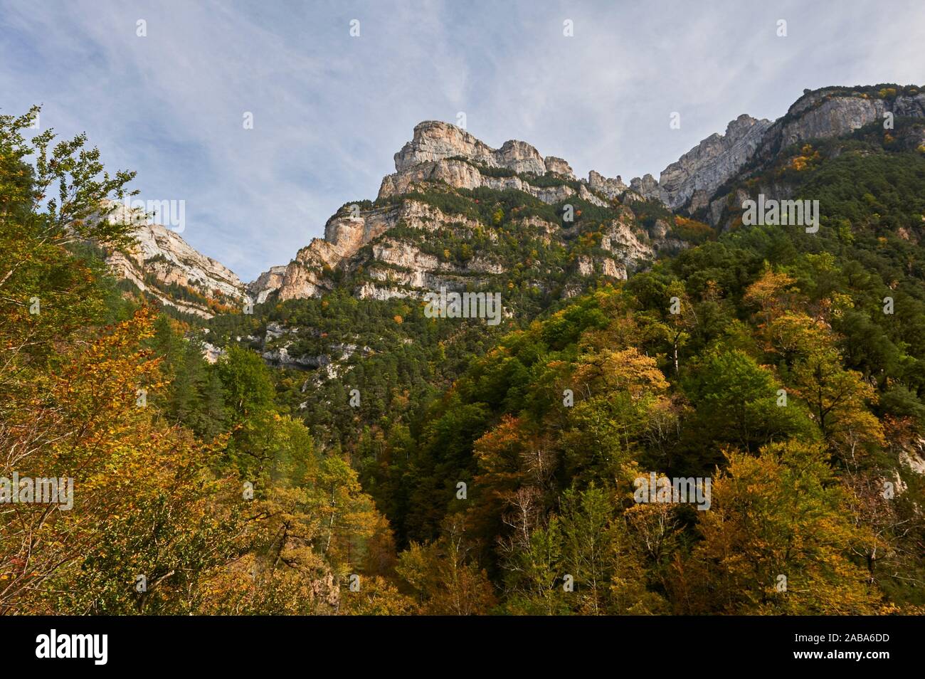Autumn colors of pyrenean forest in Añisclo Canyon, Ordesa and Monte Perdido National Park, Huesca province, Aragon (Spain) Stock Photo
