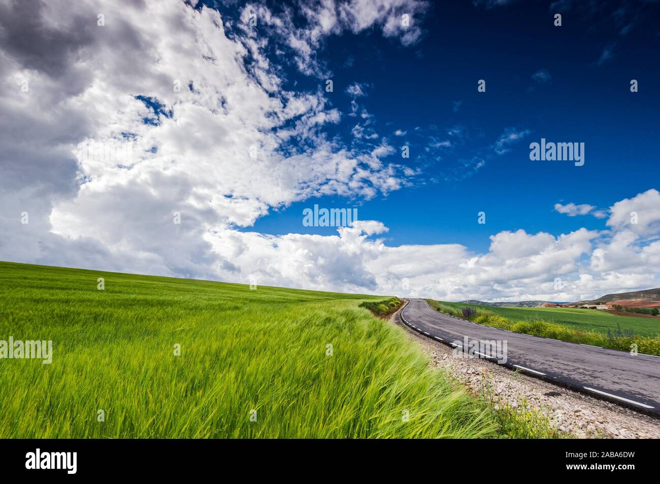 Lonely road in cereal fields near Corduente (Guadalajara Province, Castilla- La Mancha Region, Spain) Stock Photo