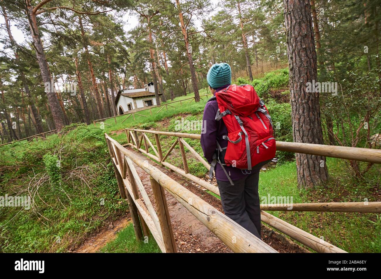 Woman with red backpack hiking along Pinus Sylvestris forest near Espineda Refuge in Checa, in Alto Tajo Natural Park, (Guadalajara Province, Stock Photo