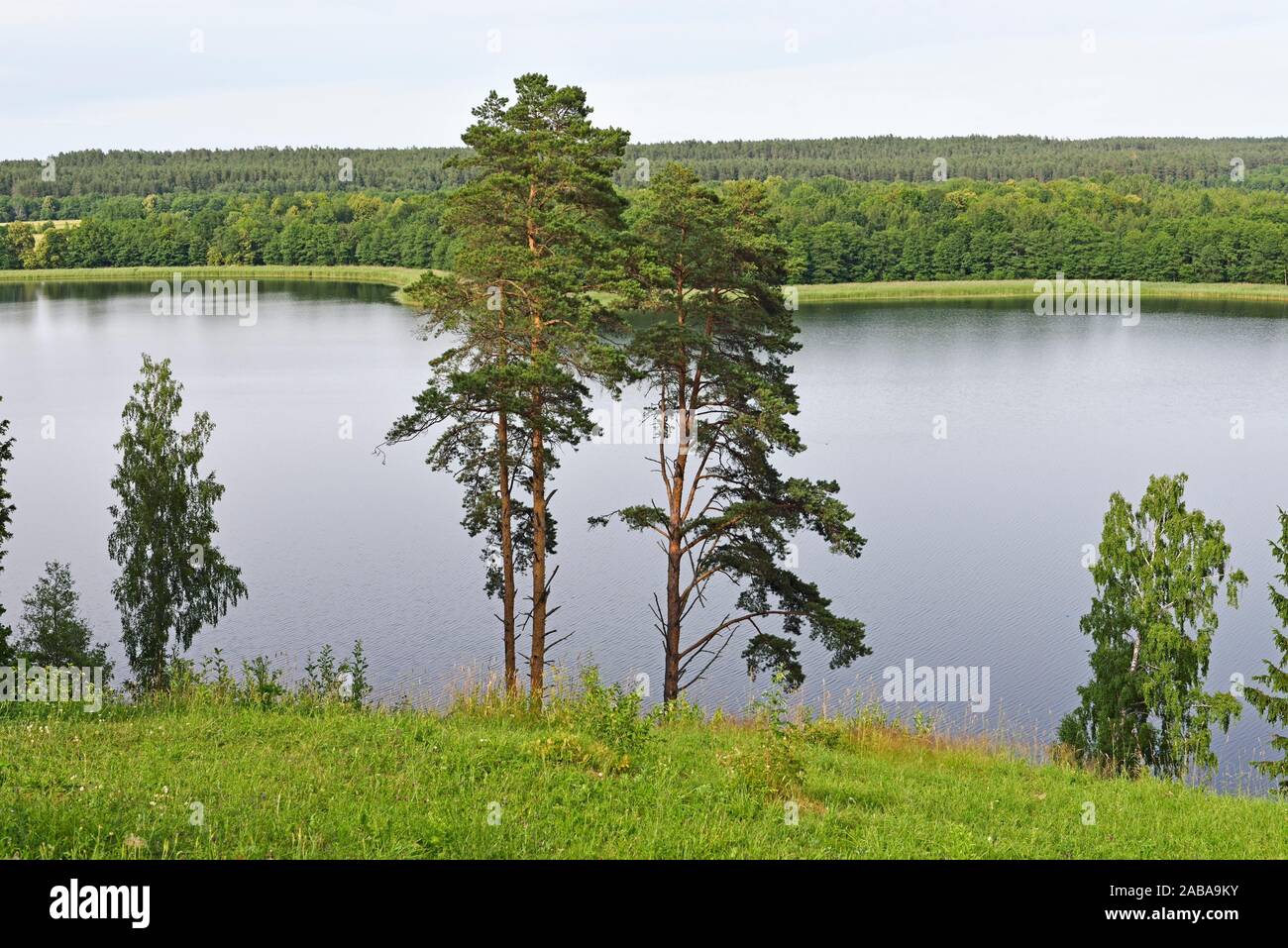 view over Linkmenas lake from Ladakalnis hill, one of the famous sights of Aukstaitija National Park, Lithuania, Europe. Stock Photo