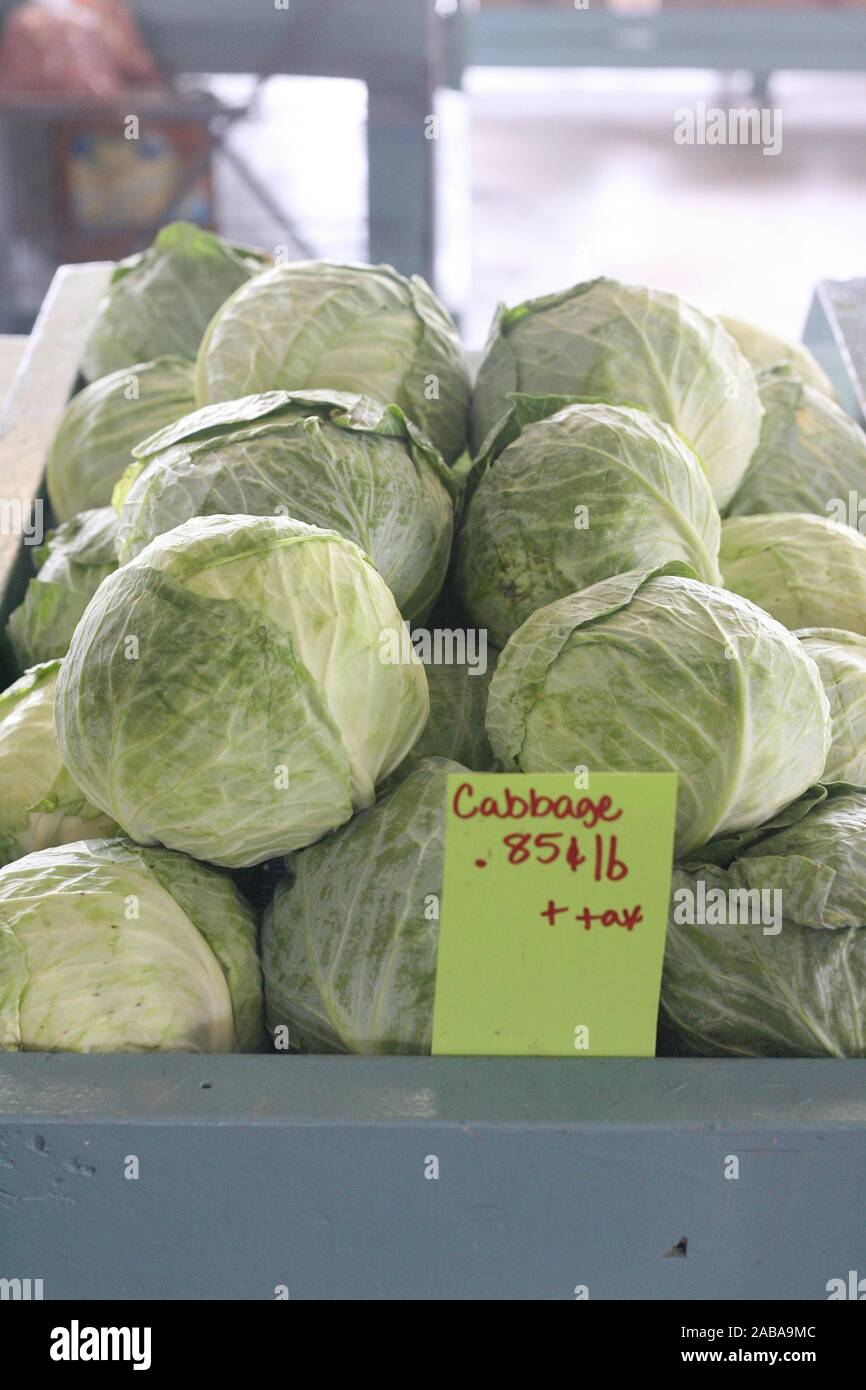 Cabbage for sale at the local farmers market in Alabama Stock Photo Alamy