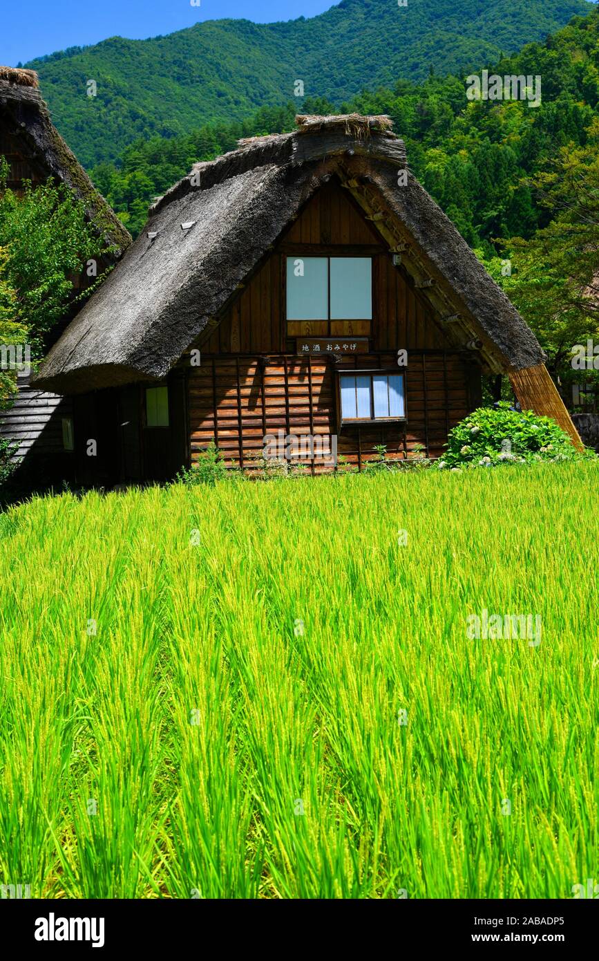 Japan house roof not gifu not toyama hires stock photography and