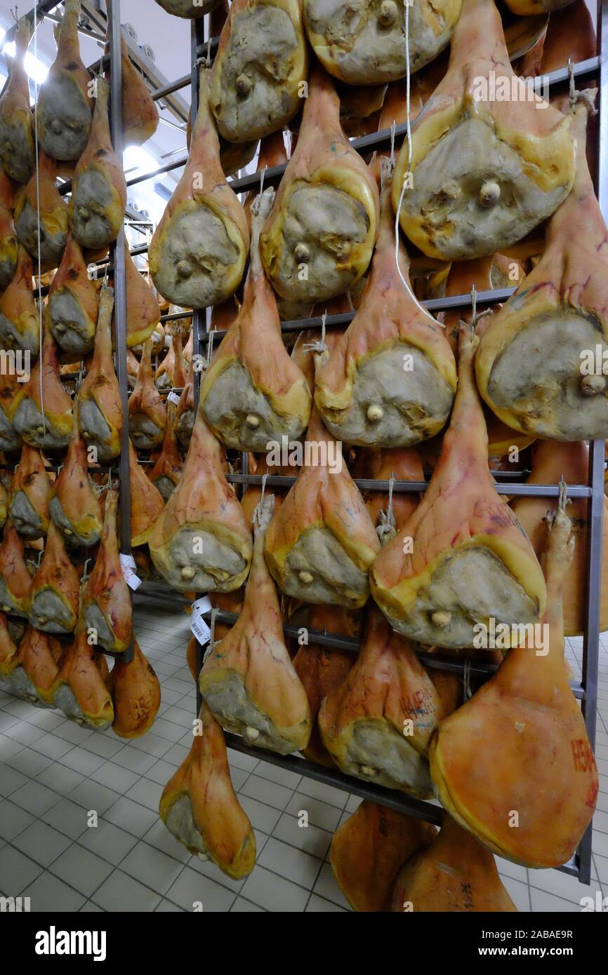 San Daniele ham preparation and maturing, San Daniele del Friuli, Udine, Friuli Venezia Giulia, Italy, Europe. Stock Photo