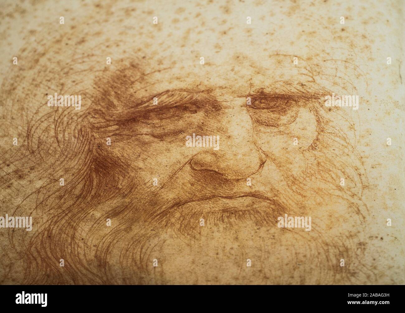 Leonardo da Vinci, Italian polymath of the Renaissance. Self Portrait in Red chalk, Turin Royal LIbrary. Stock Photo