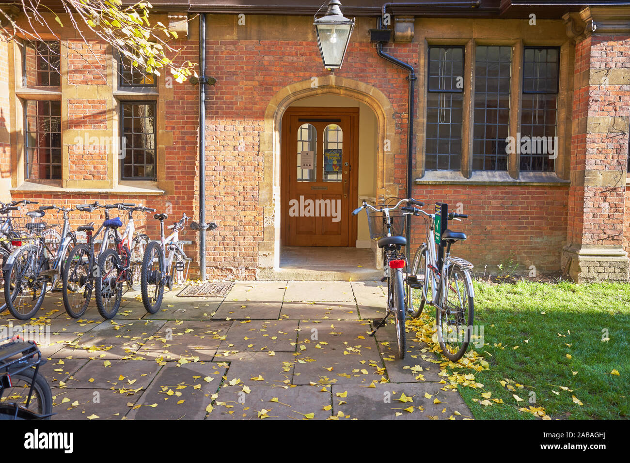 Bicycles parked outside a brick building, on Logic Lane, of University College, university of Oxford, England, on a sunny winter day. Stock Photo